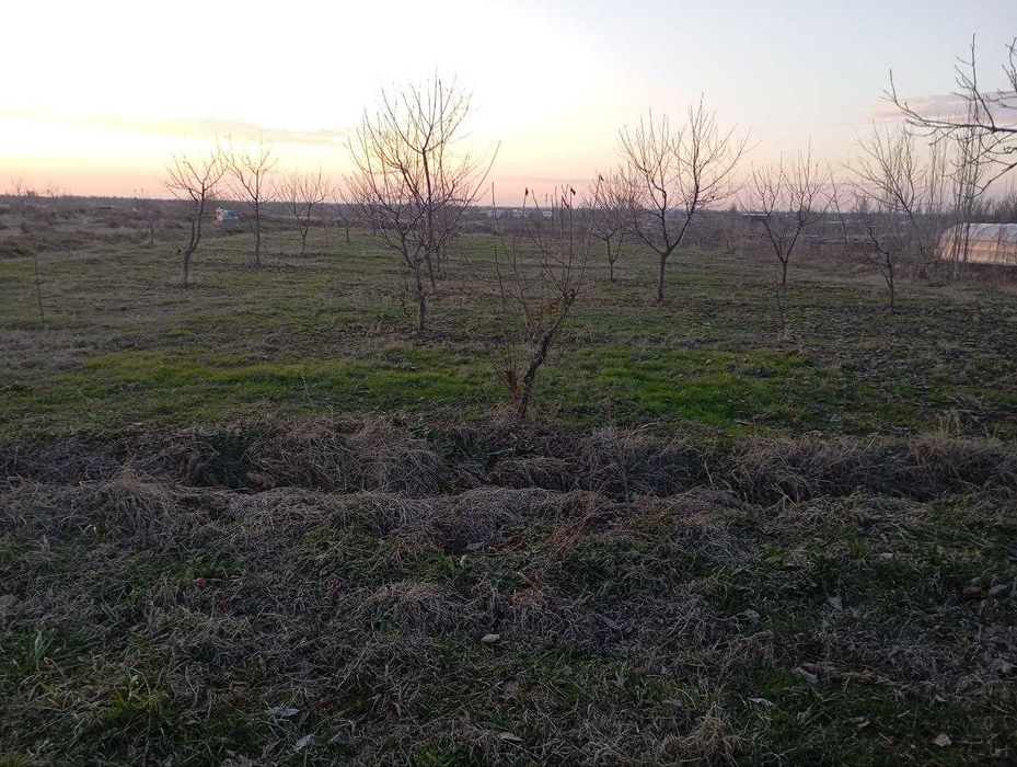 10 сотихли Ховли сотилади