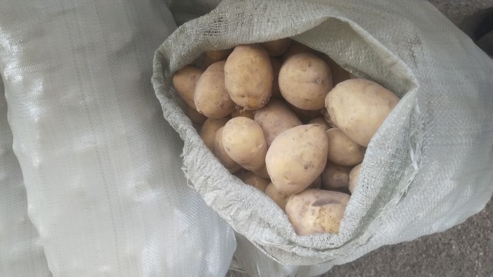 Домашняя картошка