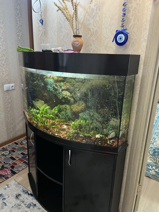 Акварюм с подставкой