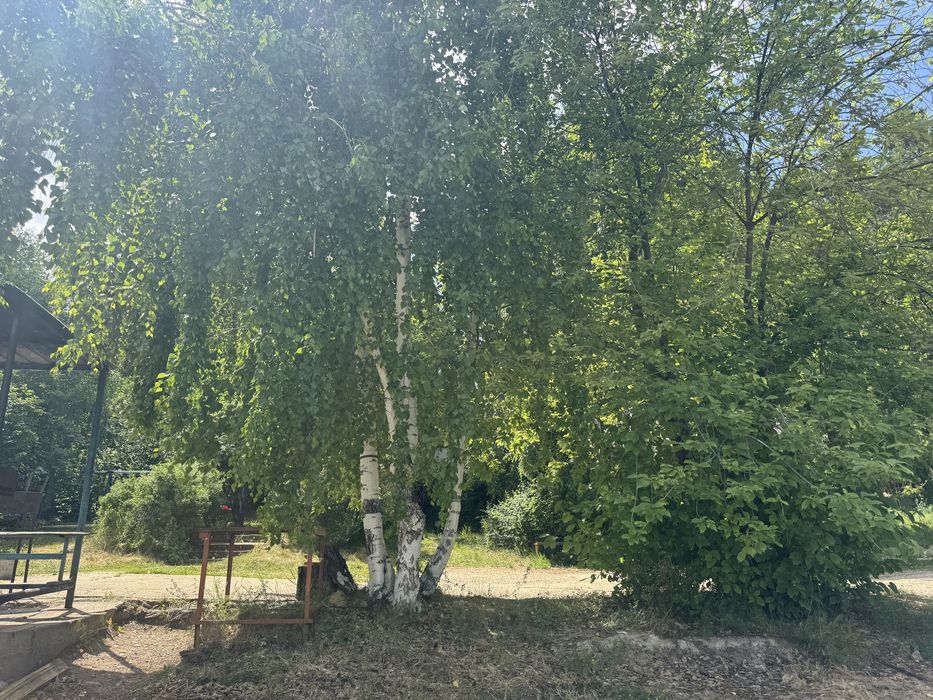 Продам 6 домиков Н. Бухтарма, б/о «Удача»