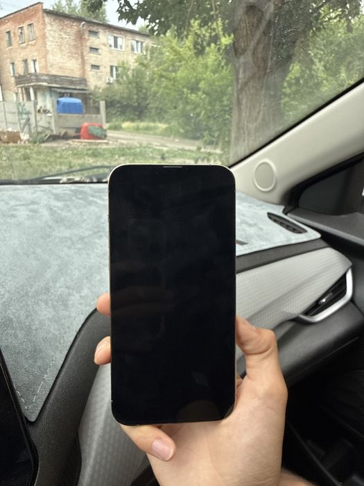 Apple 13 pro max