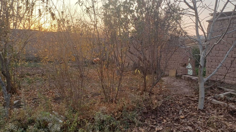 Qurulish uchun yer maydoni sotuvga qo'yilgan