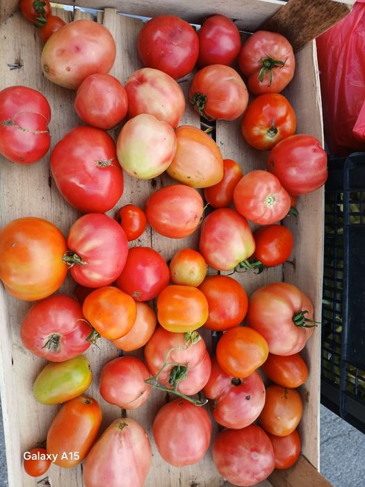 Vand legume  roși castraveti fasole