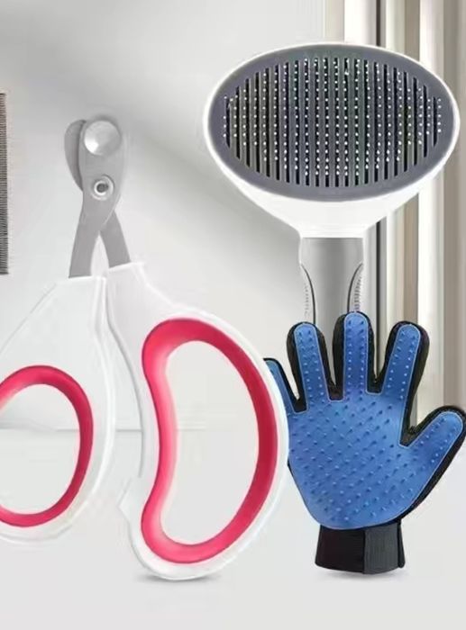 Ножницы и поводок для кота