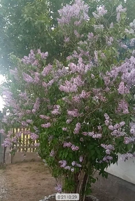 Продам дом на селе. 60 км. от города