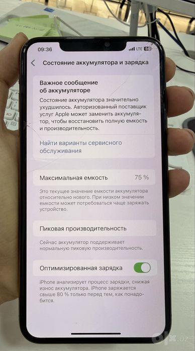 iPhone Xs Max  256 GB