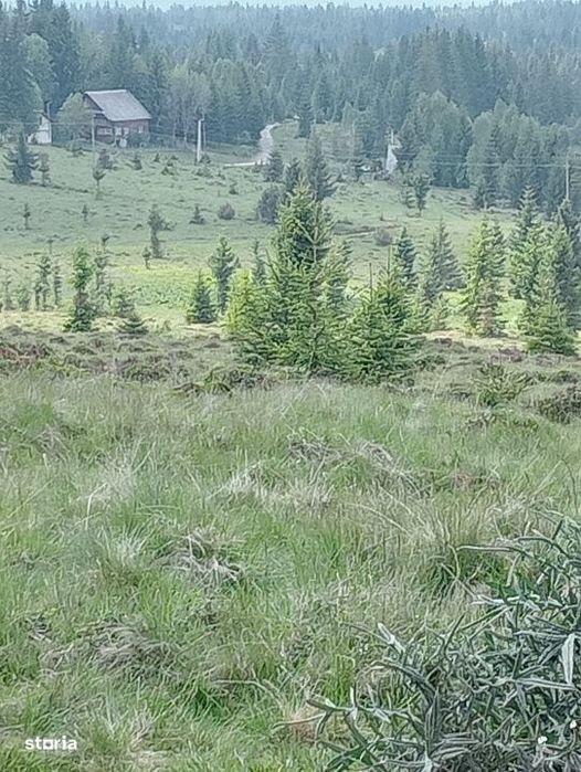 Vanzare Teren – Risca, Comuna Belis