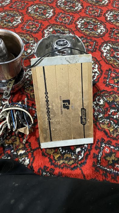 Сирена американиски