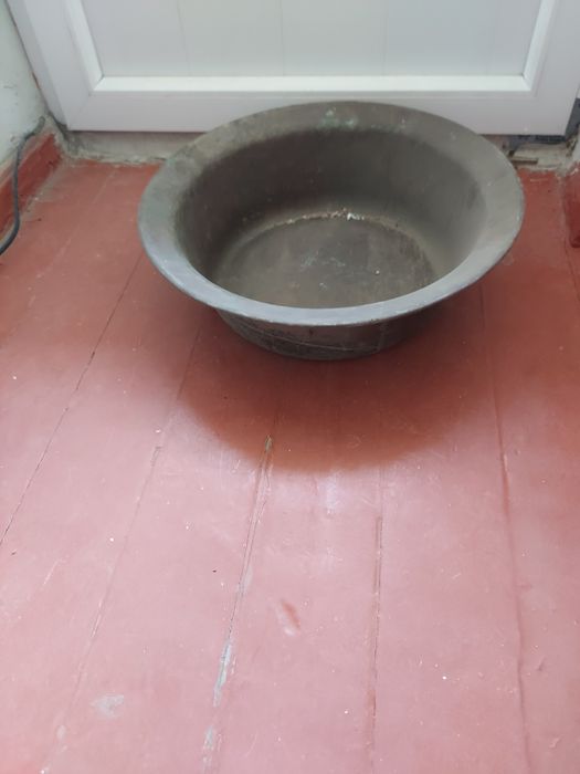 Продаю комнатные цветы