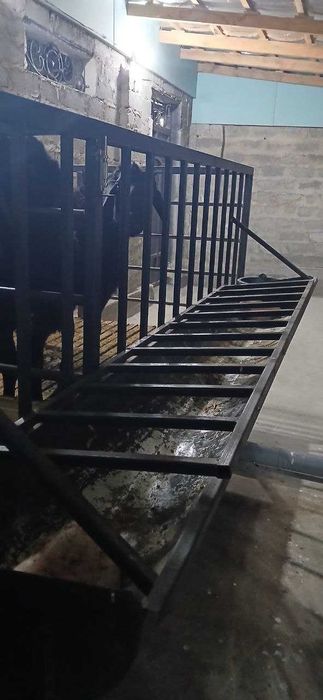 Qo'yxona, qo'ylar uchun alohida yashash joyi