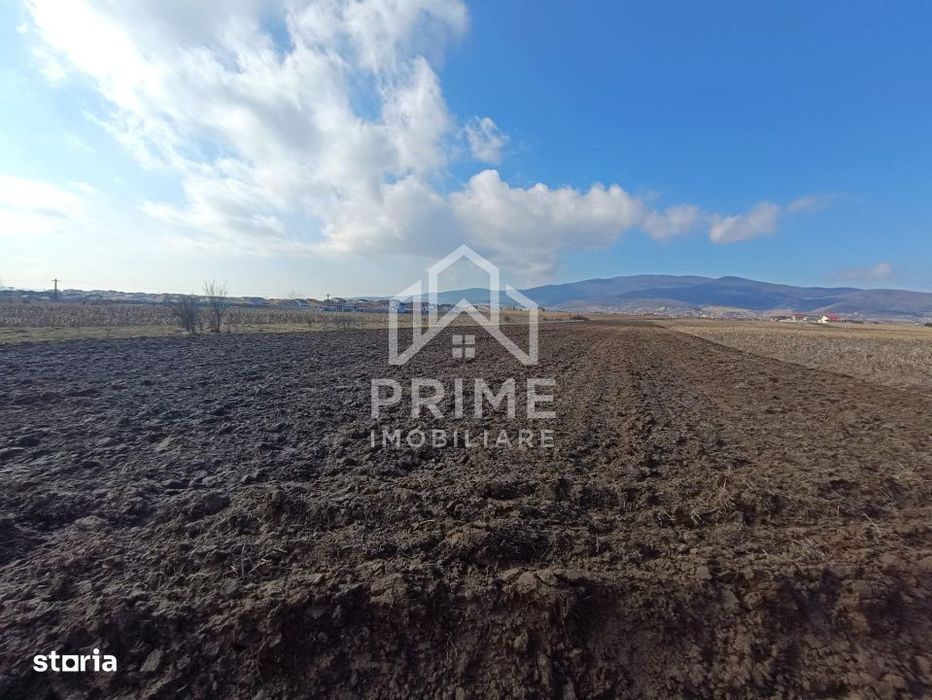 Teren intravilan 5.200 mp | ideal proiect imobiliar, zona Barabant -Mi
