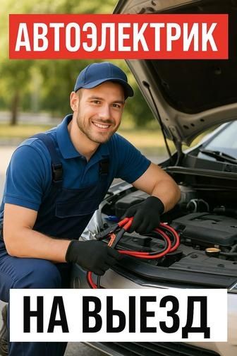 Комп, диагностика Сергей 12/24V  выезд