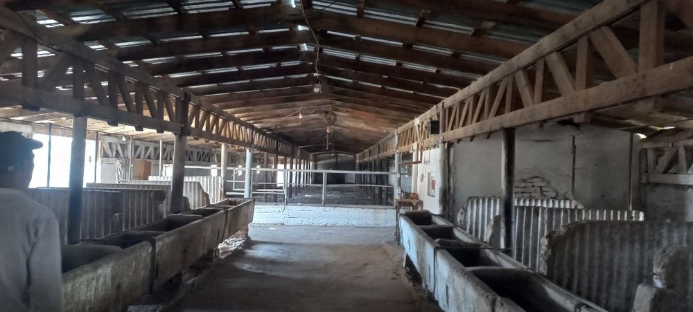 Ferma sotiladi .daca zona