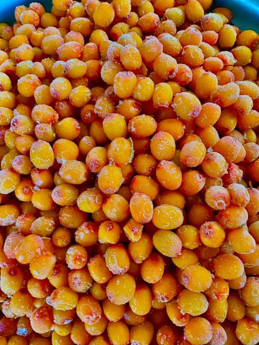 Продам замороженную облепиху