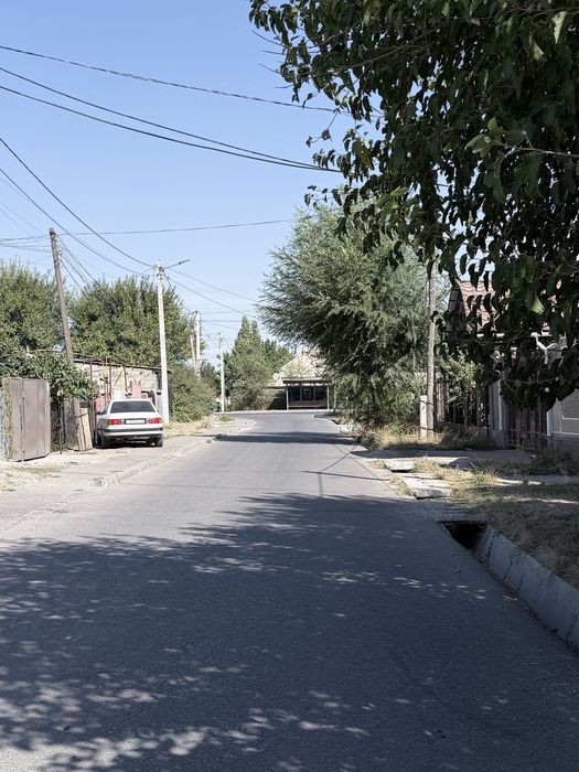 Откорым совхоз забадамда уй сатылады