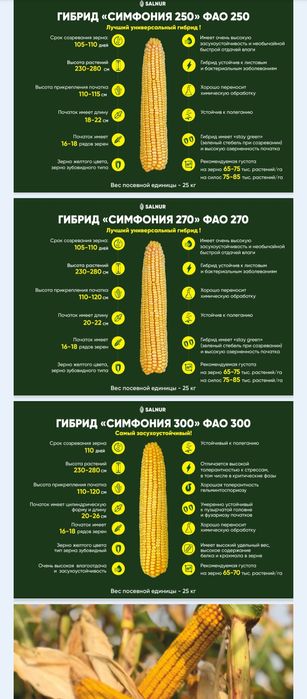 Кукуруза доставка есть
