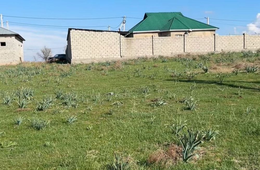 Үй сатылады жұлдызда