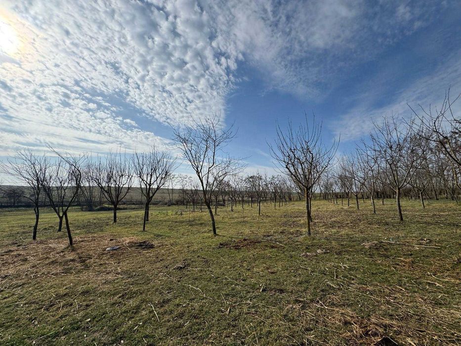 Casă nouă + teren 3100 mp  la 40 km de Timișoara, utilități complete