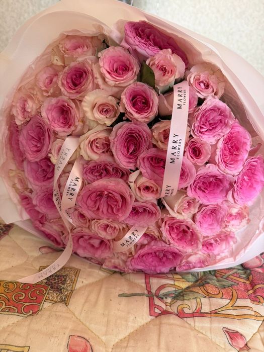 Цветы розы свежие