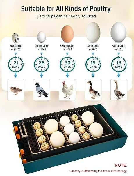 Напълно автоматичен инкубатор за кокошки, 10 яйца от Aissom