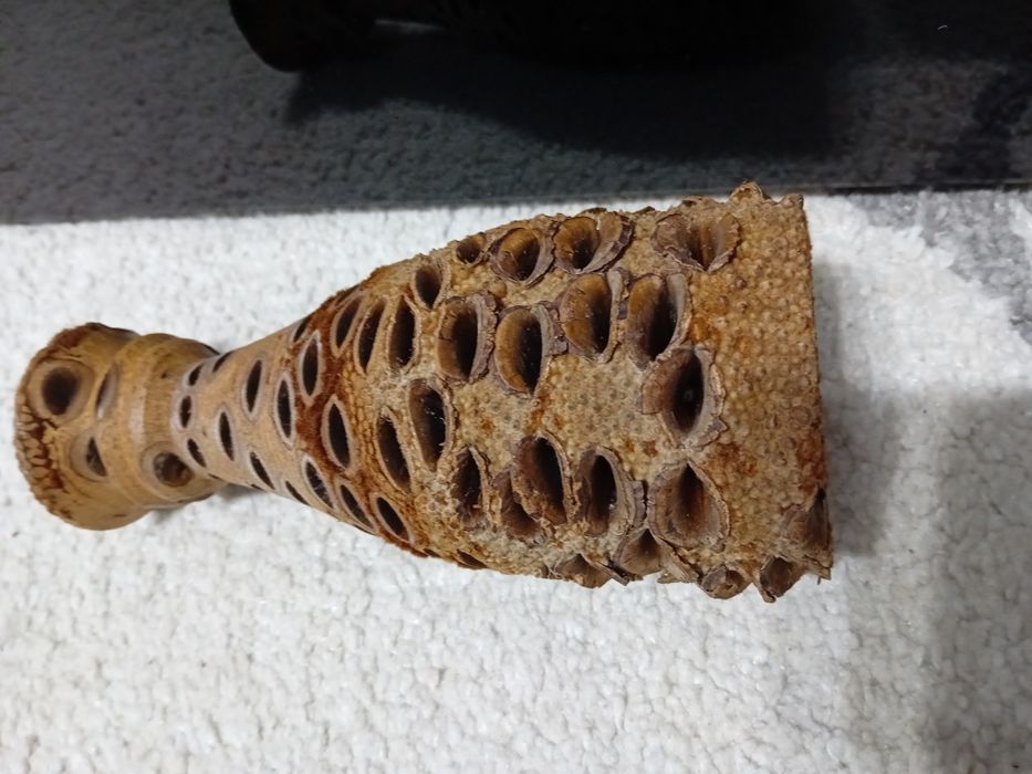 Vaza veche banksia