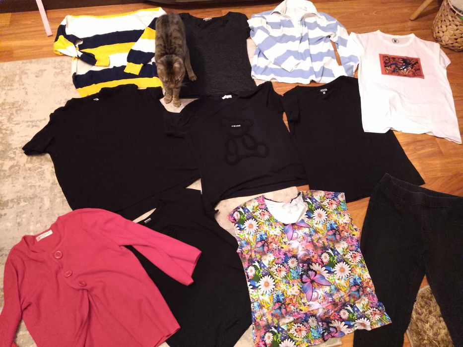 Lot haine dama măsură M