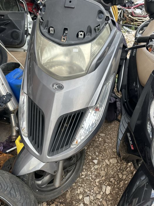 Kynko 50 grand dink п