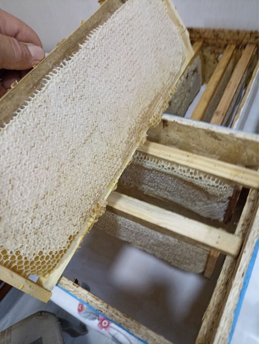 Сотовые рамки , медовая продукция