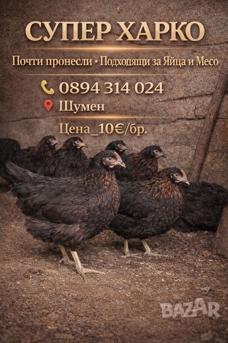 Млади Ярки Супер Харко