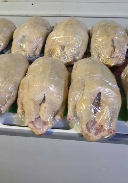 Мясо Домашнего Индюка, Утки, Бройлера, Индаутки