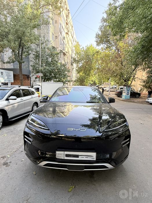 BYD Chempion Smart