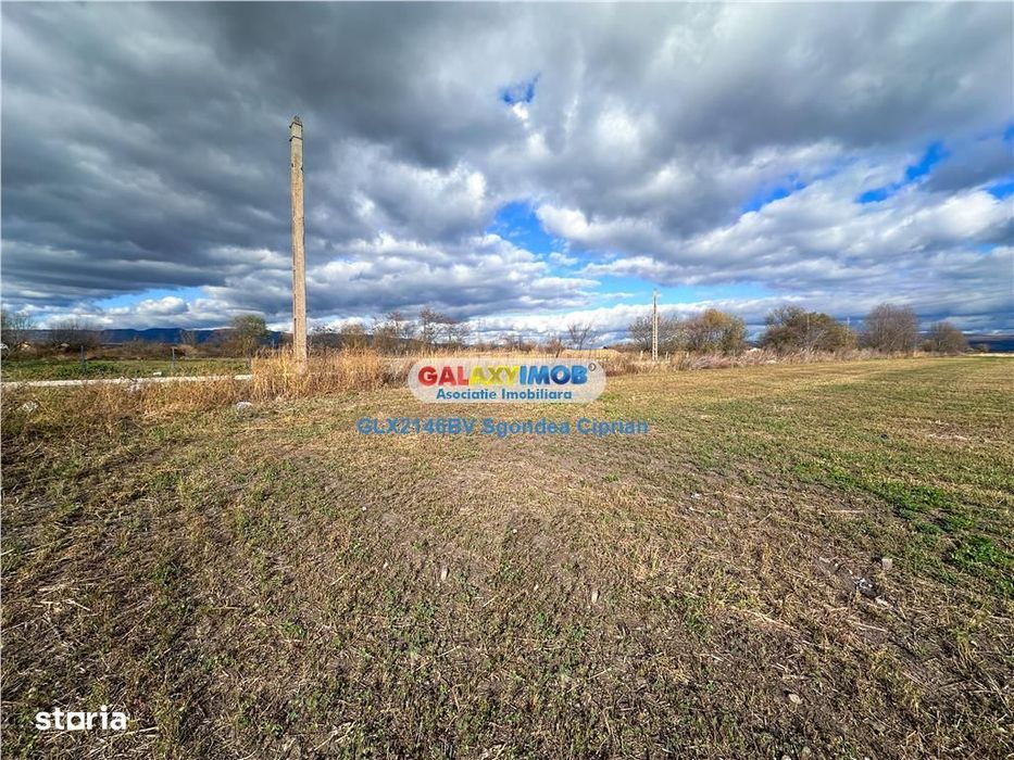 Teren Halchiu 5000 mp cu utilitati si puz