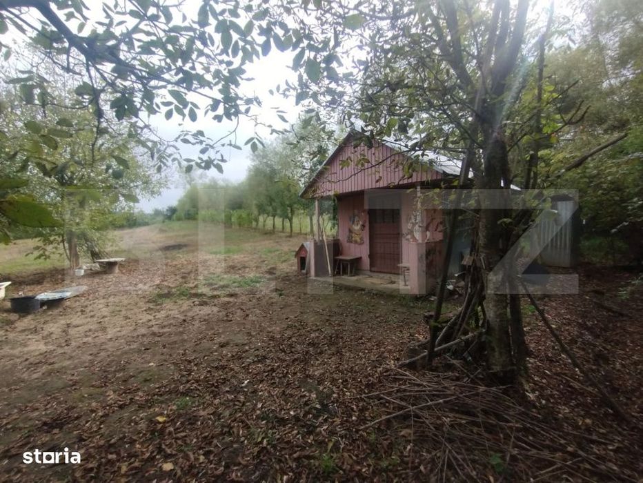Teren 50 Ari cu Cabana, Utilitati si Livada – Oaza de liniste! Becle
