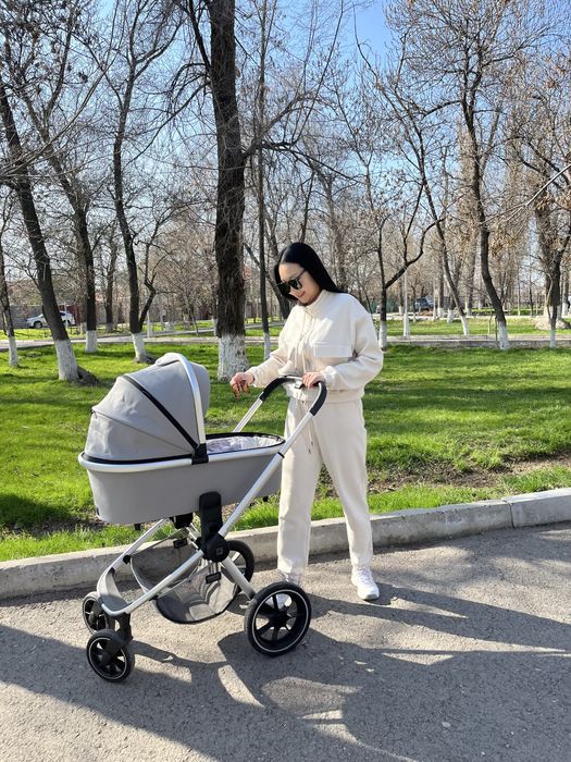 Коляска 2 в 1 Moon Resea S