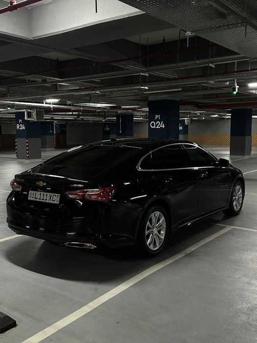 Tracker 2 | Malibu 2 | Kunlik ijara | arenda