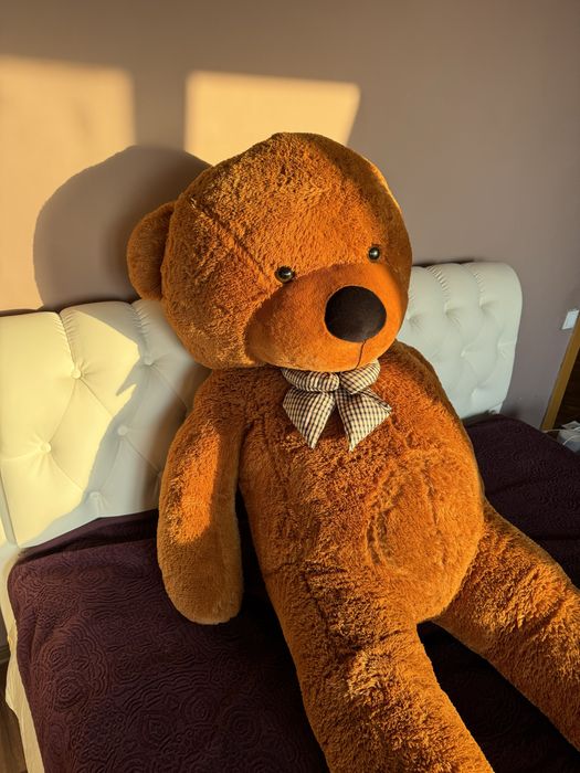 2 метровый медведь