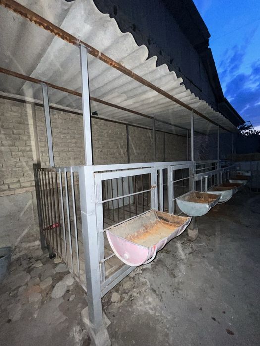 Qo'yxona, katak, sotiladi