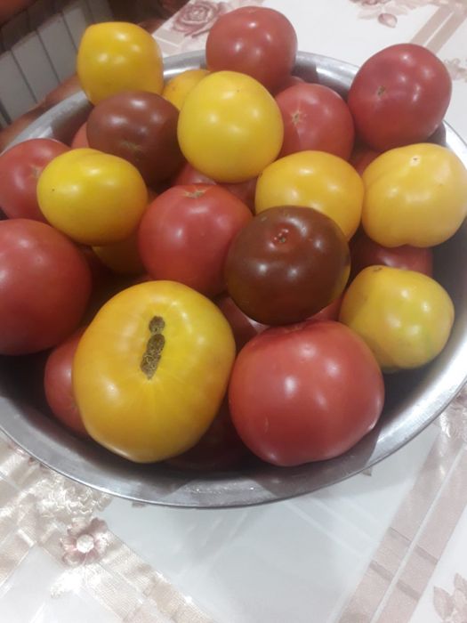 Продам Дачные Помидоры!