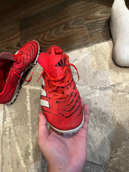 Сороконожки (шиповка) оргинал