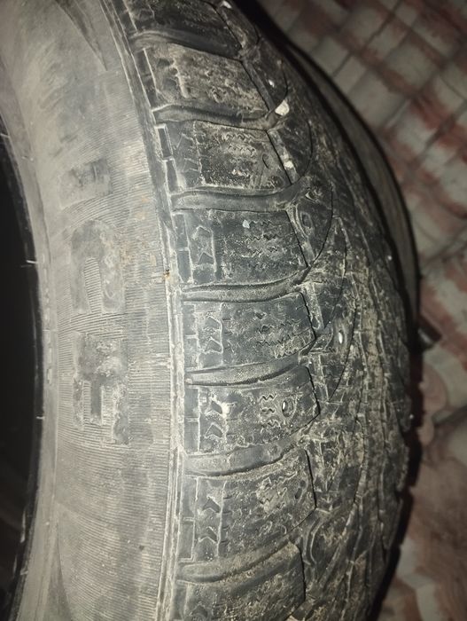 Зимние шины шипы