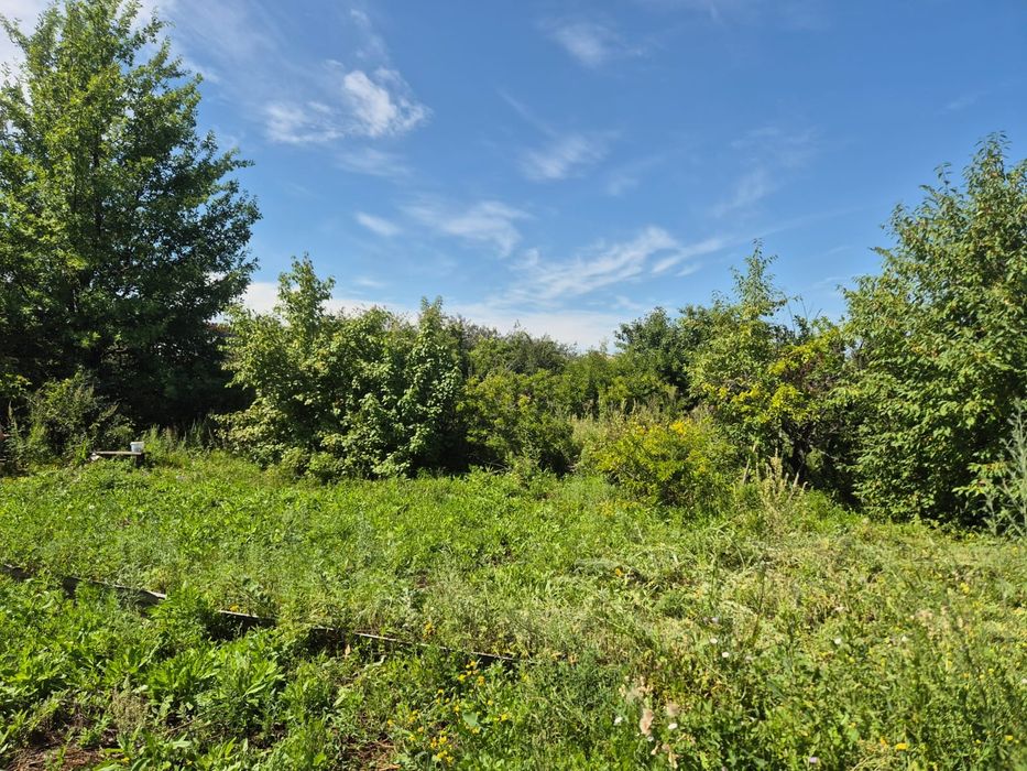 Продам 12 соток сад энтузиастов