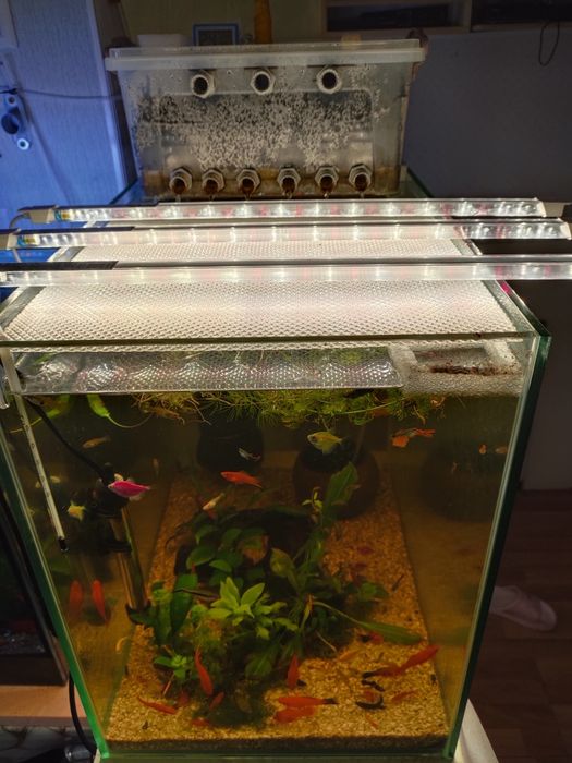 Продам красивый аквариум с рыбами.