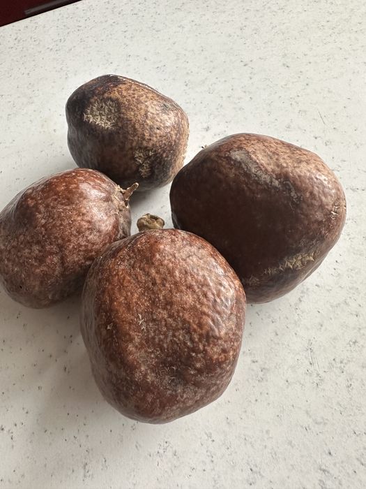 Saudiya Arabiston mevasi Mohinhil