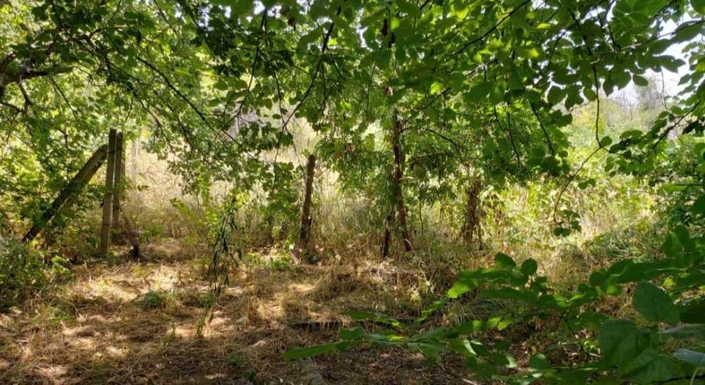 Продава се Земеделски имот в Силистра, Промишлена зона - Юг -  кв.м за 6630 €/дка - Снимка #7