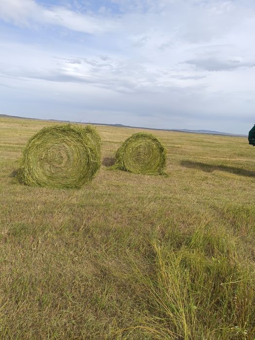 Сено в рулонах. Сено. Сено в тюках