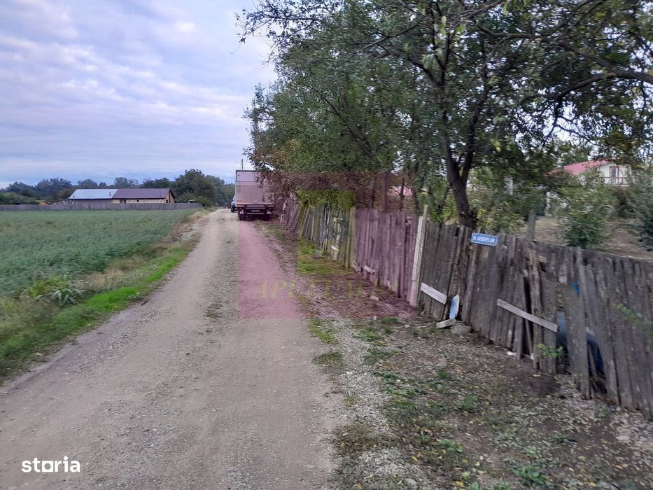 Cosereni (Il) - Se Vinde Teren 2000 Mp La Sos Bucuresti -Urziceni