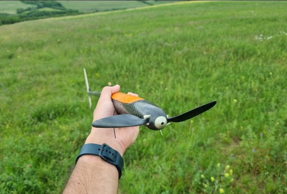 Planoare carbon DLG (F3K) si electric F5K