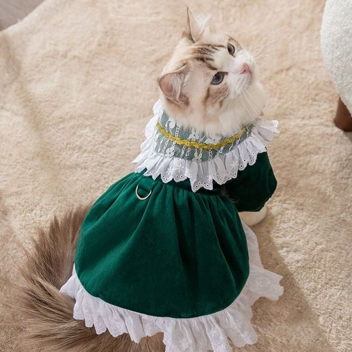 Одежда для животных