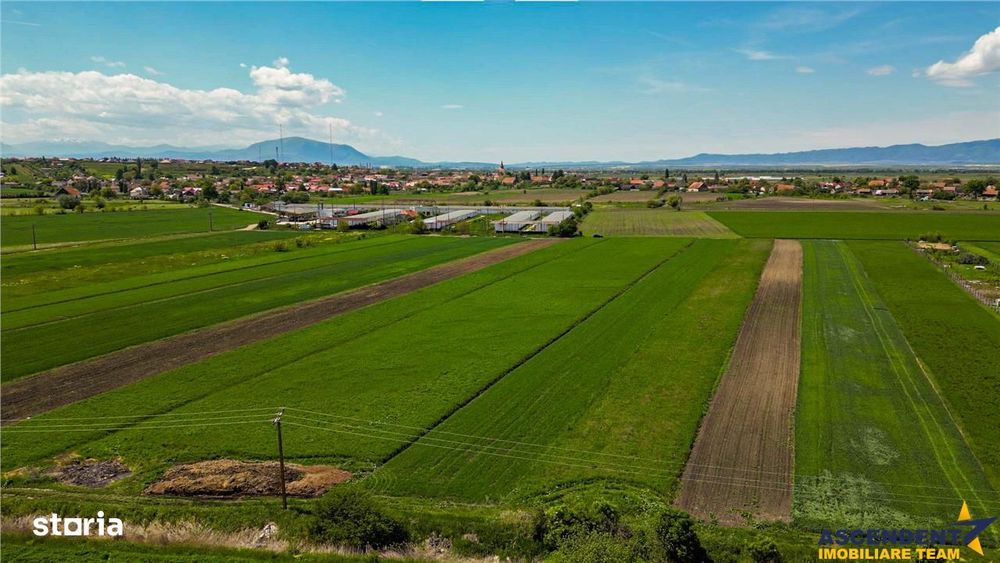 FILM! Teren extravilan 5.000 mp in zona linistita cu acces facil, Bod,