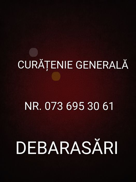 Echipă de curățenie